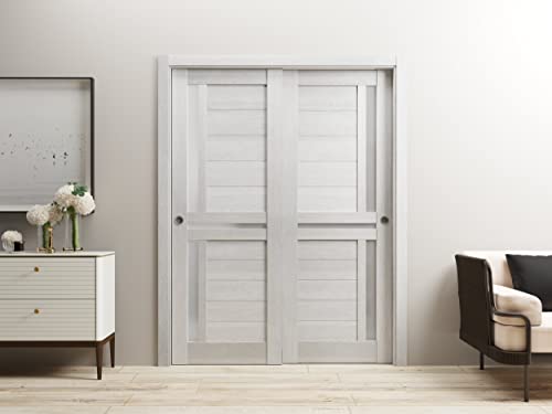 SARTODOORS Sliding Closet Bypass Doors 56 x 80 inches | Veregio 7288 White Silk with Frosted Glass | Sturdy Rails Moldings Trims Hardware Set | Wood
