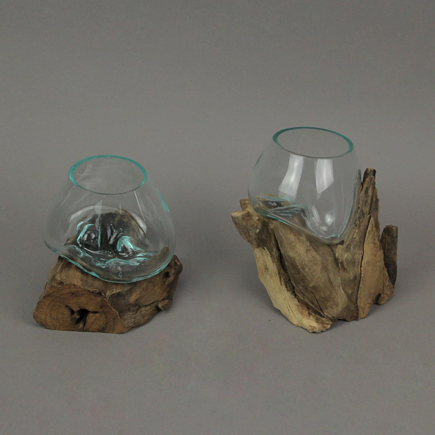 Set of 2 Glass and Teak Driftwood Decorative Bowls, Vases, and Terrarium Planters - Great for Bedrooms, Living Rooms and Offices