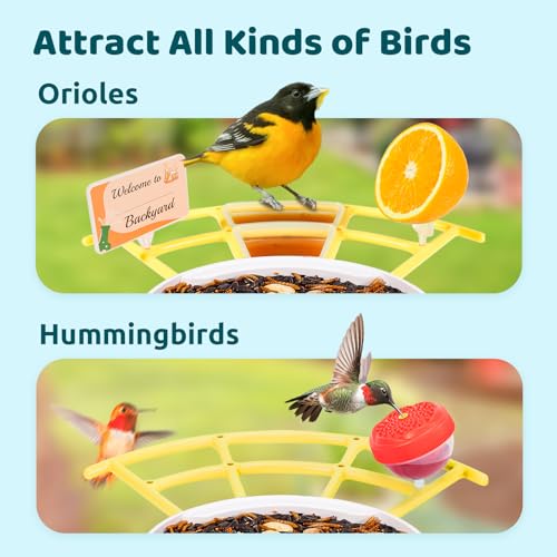 NETVUE Birdfy® Pro Bird Feeder with Camera, Wider Perch DIY Add-ons, Hummingbird Feeder, Suet Ball, Jelly Feeder