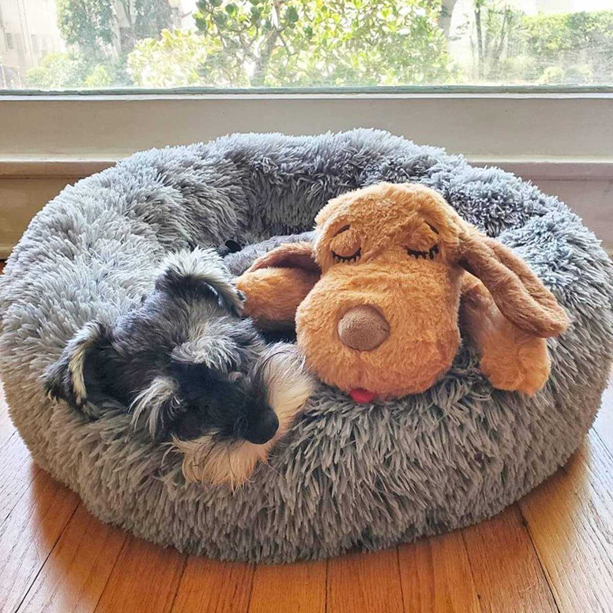 Snuggle Puppy Starter Kit - Pet Supplies online store