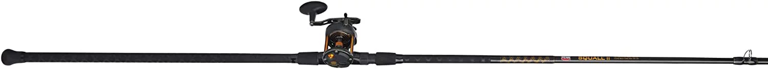 PENN 10' Squall II Star Drag Conventional Combo, Reel Size 15