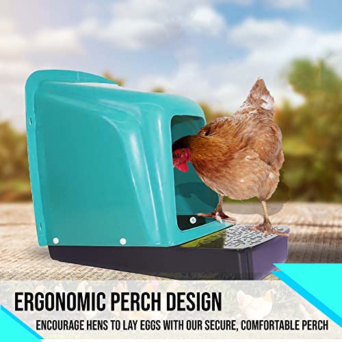 Nesting Boxes for Chicken Coops | Roll Away Hen House for Laying Eggs | Durable Plastic Chick Brooder Box with Perch & Pull Out Egg Tray for Poultry