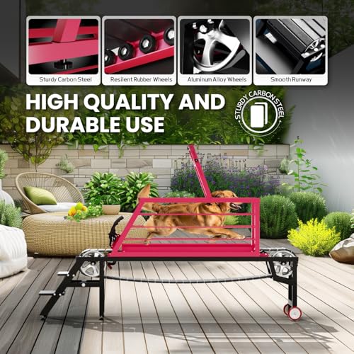 Dog Treadmill for Small to Large Dogs, Adjustable Speed Pet Exercise Machine with Quiet Motor, Supports Up to 300lbs for Weight Loss & Training