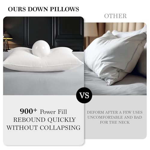 Shilucheng Goose Down and Feather Pillows Queen Size Set of 2 Pack, Luxury Hotel Quality Bed Pillows for Side Back Stomach Sleepers