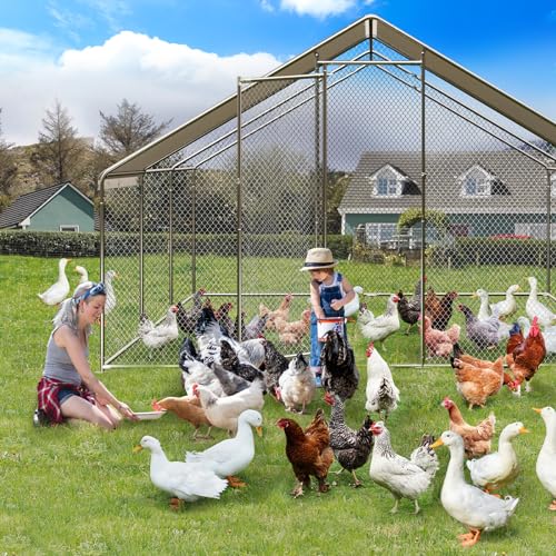 Large Metal Chicken Coop, Large Chicken Pen, Chicken Runs for Yard with Waterproof and Anti-UV Cover, Duck Rabbit House Outdoor (9.8'