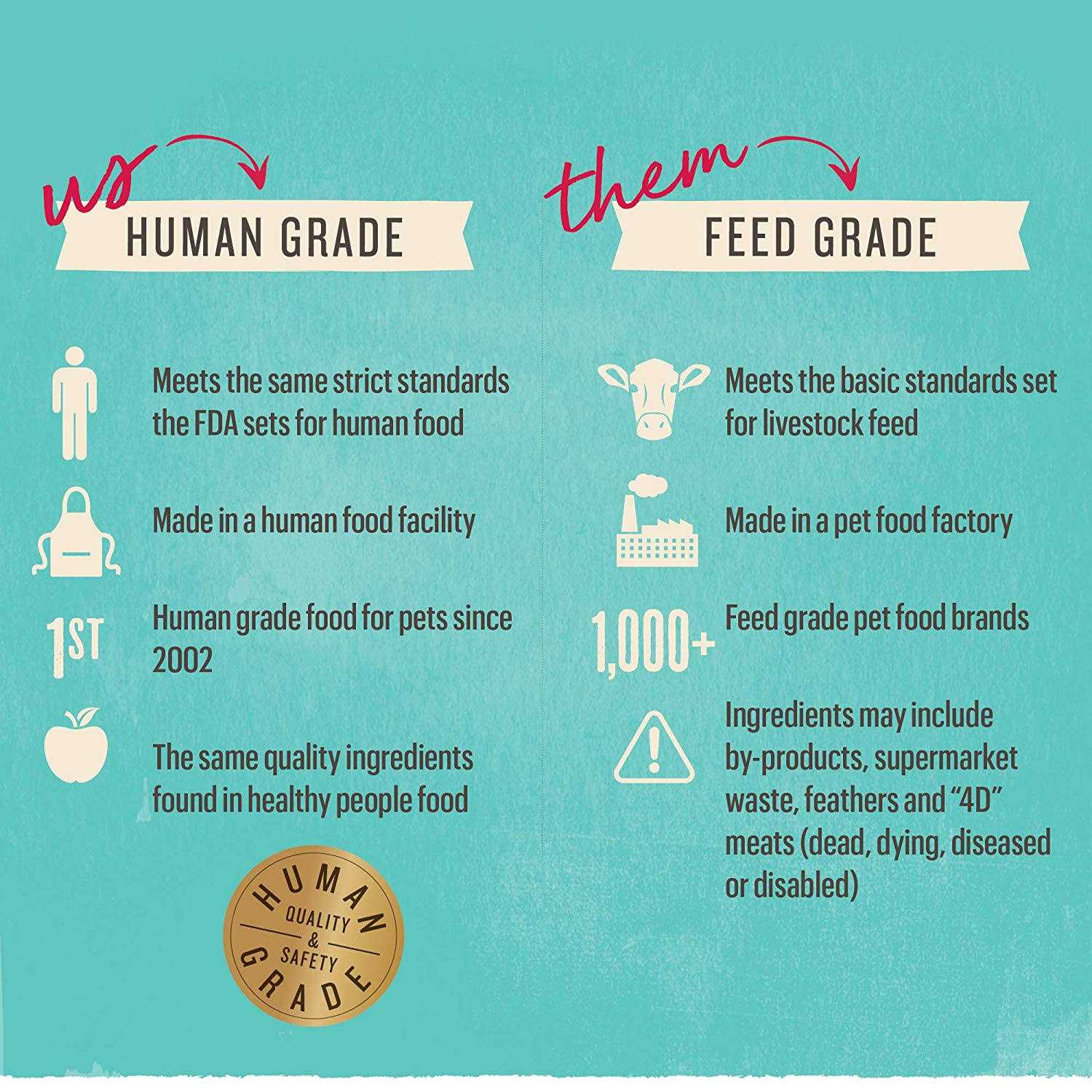 The Honest Kitchen Dehydrated Grain-Free Beef Dog Food 10lb - Pet Supplies online store
