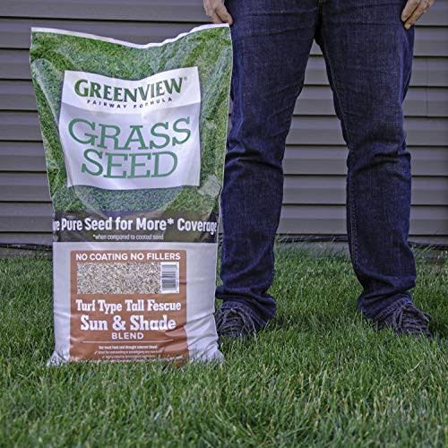 Greenview 2829348 Fairway Formula Grass Seed Turf Type Tall Fescue Sun u0026 Shade Blend, 20 lb