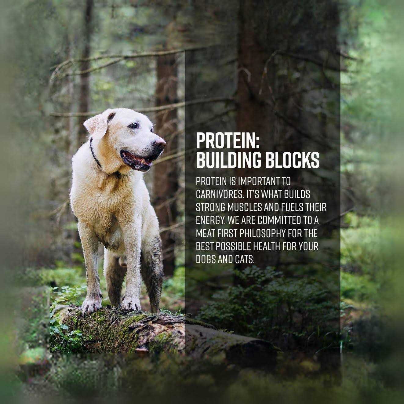 Essence Limited Ingredient Ocean Recipe Dog Dry Food - Pet Supplies online store