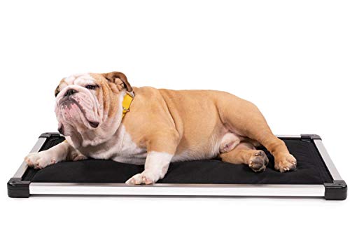 K9 Ballistics Chew Proof Armored Padded Dog Crate Pad Bed Indestructible, Mat Small Size for Aggressive Chewers, Water Resistant