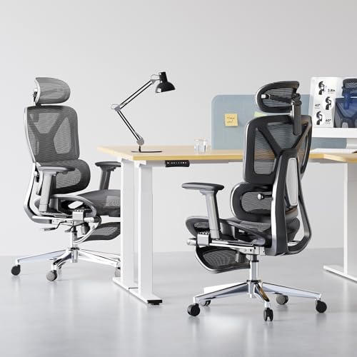 FLEXISPOT ErgoX Premium Ergonomic Office Chair with Footrest- Adjustable 3D Armrests, Dynamic Lumbar Support, Recline & Tilt Function, Mesh Seat