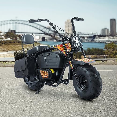 Oryxearth Electric Mini Dirt Bike, 36V Battery 1000W Motor Electrical Powered Motorcycle for Kids, 2 Speeds-15.5MPH/22 MPH, 2 Hanging Bags