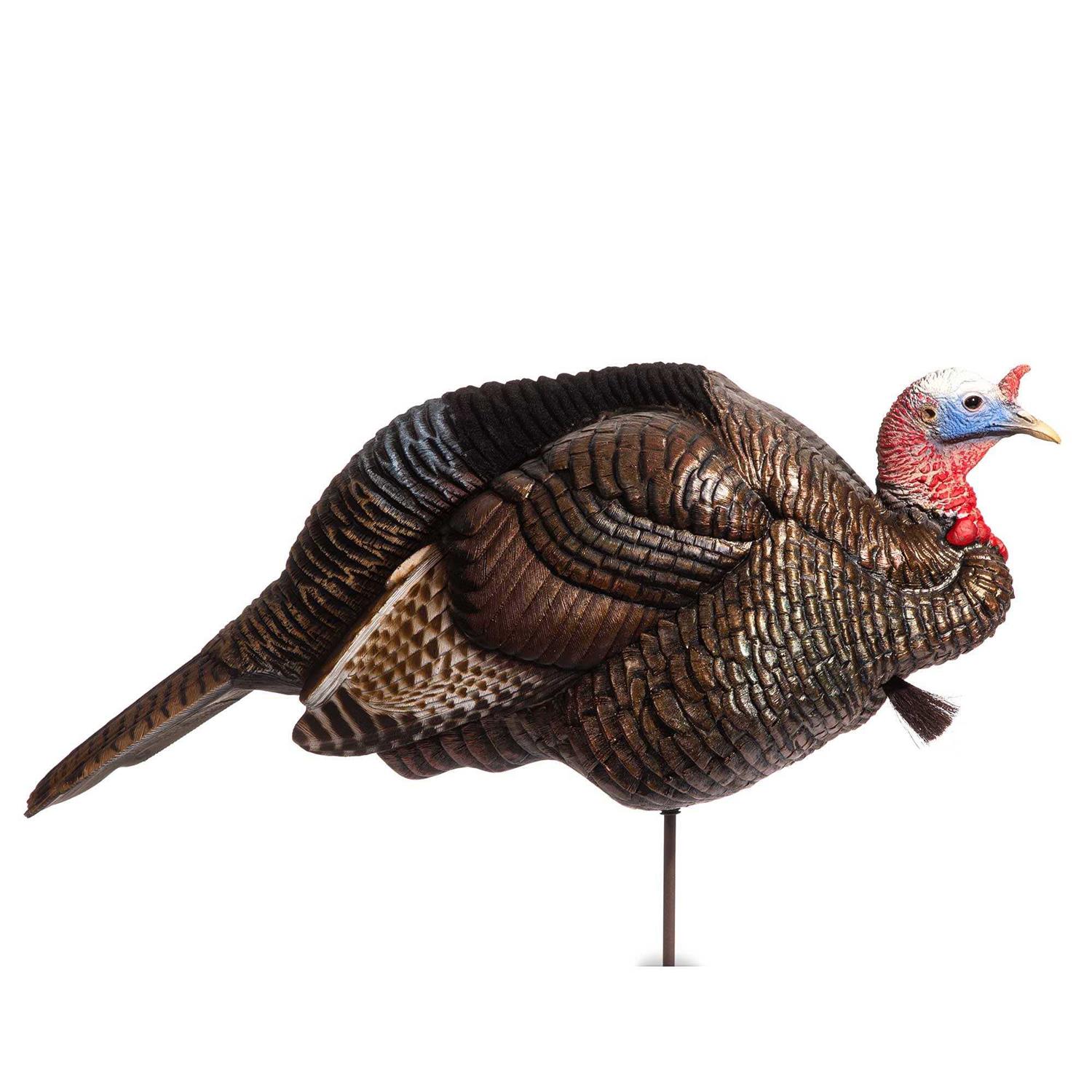Dave Smith Decoys 3/4 Strut Jake Decoy - Sports Supplies Online Store