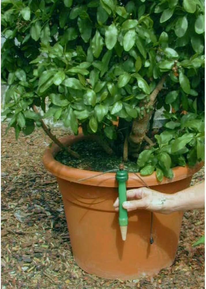 Blumat Drip System - 6 Pack Small Kit with Reservoir - Smart Automatic Watering System, Great for Vacation, Made in Austria