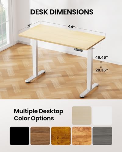ErGear Height Adjustable Electric Standing Desk, 48 x 24 Inches Sit Stand up Desk, Memory Computer Home Office Desk with Two-Piece Desktop (Walnut)