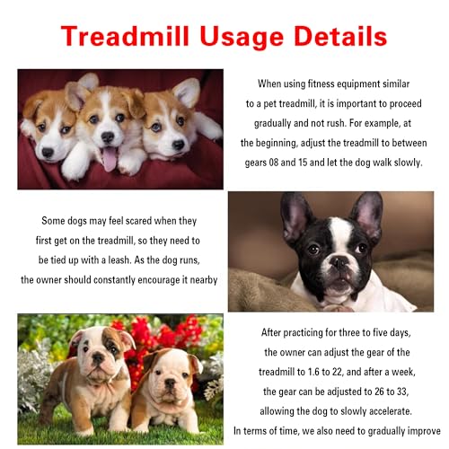 Electric Dog Treadmill for All Breeds - Quiet Motor, Adjustable Speed, LCD Display - Indoor Pet Fitness Machine for Small, Medium & Large Dogs & Cats