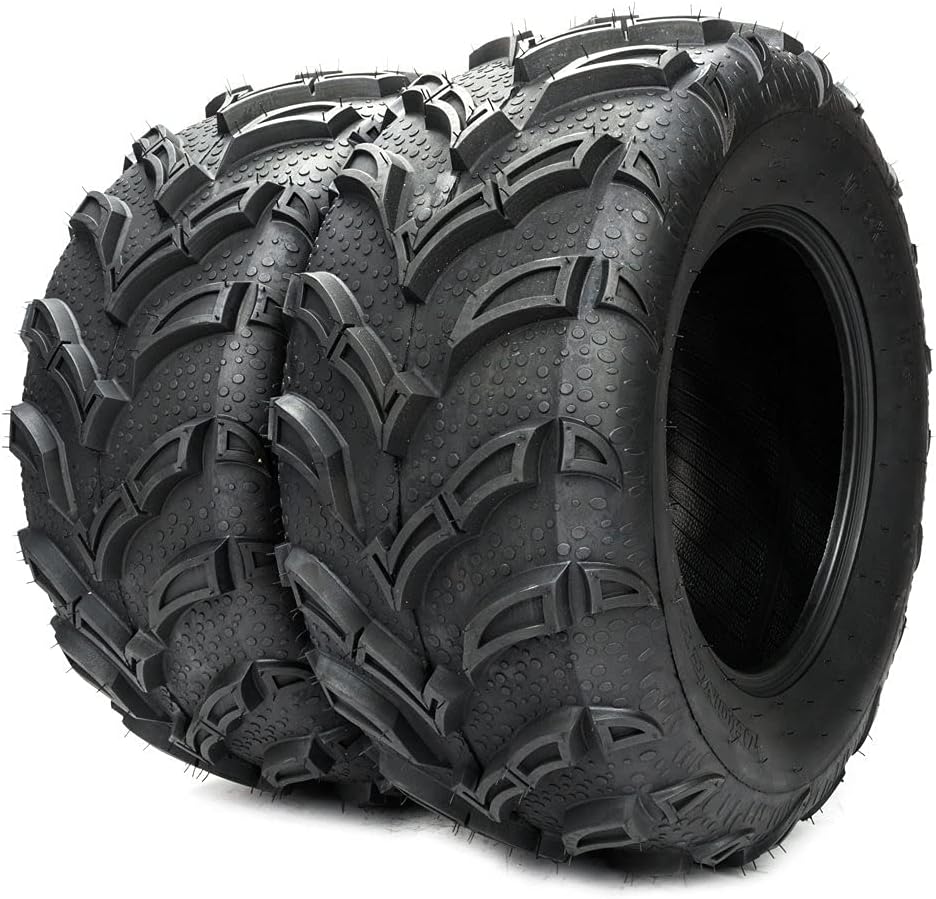 Autoforever 2 New 25x10-12 ATV UTV Rear Tires 6PR 25x10x12 All-terrain Tires