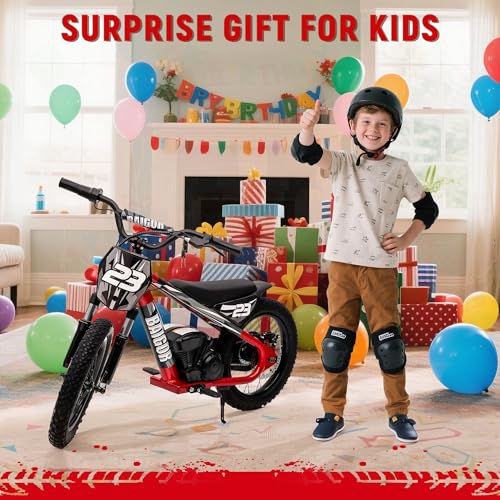 wanan Electric Dirt Bike for Kids 6-12 with Shock-Absorbing Front Fork, 250W Electric Motorcycle Up to 15.5MPH, 24V Detachable Battery, 16''
