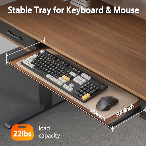 48x24 Inches Electric Standing Desk with 2 Drawers, Height Adjustable Stand up Desk for Home Office, Ergonomic Sit to Stand Table with Storage Shelf