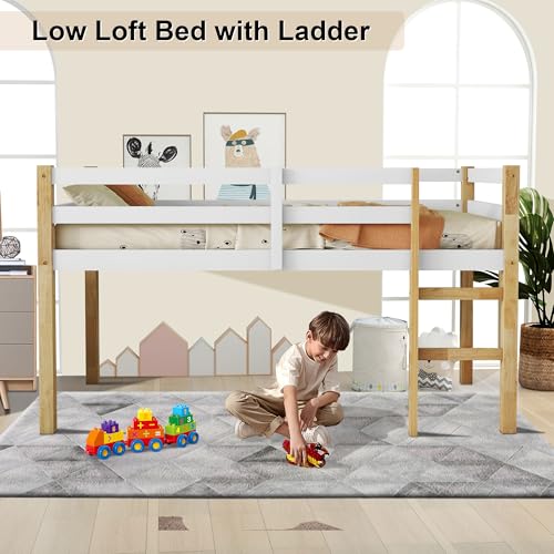 Low Loft Bed Twin Size, Kids Solid Wood Modern Loft Bed Frame with Ladder and Safety Guardrail for Girls Boys, Noise-Free,Non-Toxic Finishes