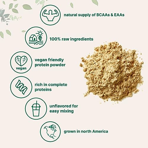 Micro Ingredients North American Grown, Pea Protein Powder, 5 Pounds | Plant Based