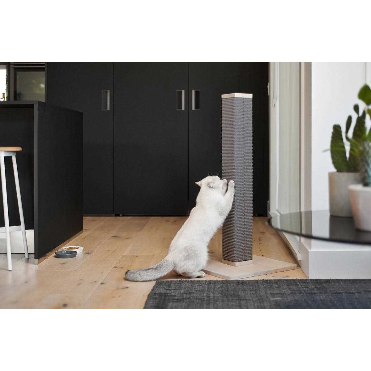 Tall Modern Scratching Post by tuft + paw Zip and Sisal Extra Tall 36 inches - Pet Supplies online store