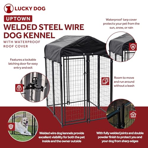 Stay Series 4 by 4 by 4.3 Feet Studio Jr. Black Powder Coat Steel Frame Outdoor Dog Kennel with Waterproof Canopy Roof and Gate Door, Khaki