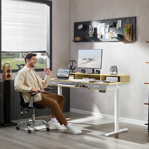 48x24 Inches Electric Standing Desk with 2 Drawers, Height Adjustable Stand up Desk for Home Office, Ergonomic Sit to Stand Table with Storage Shelf