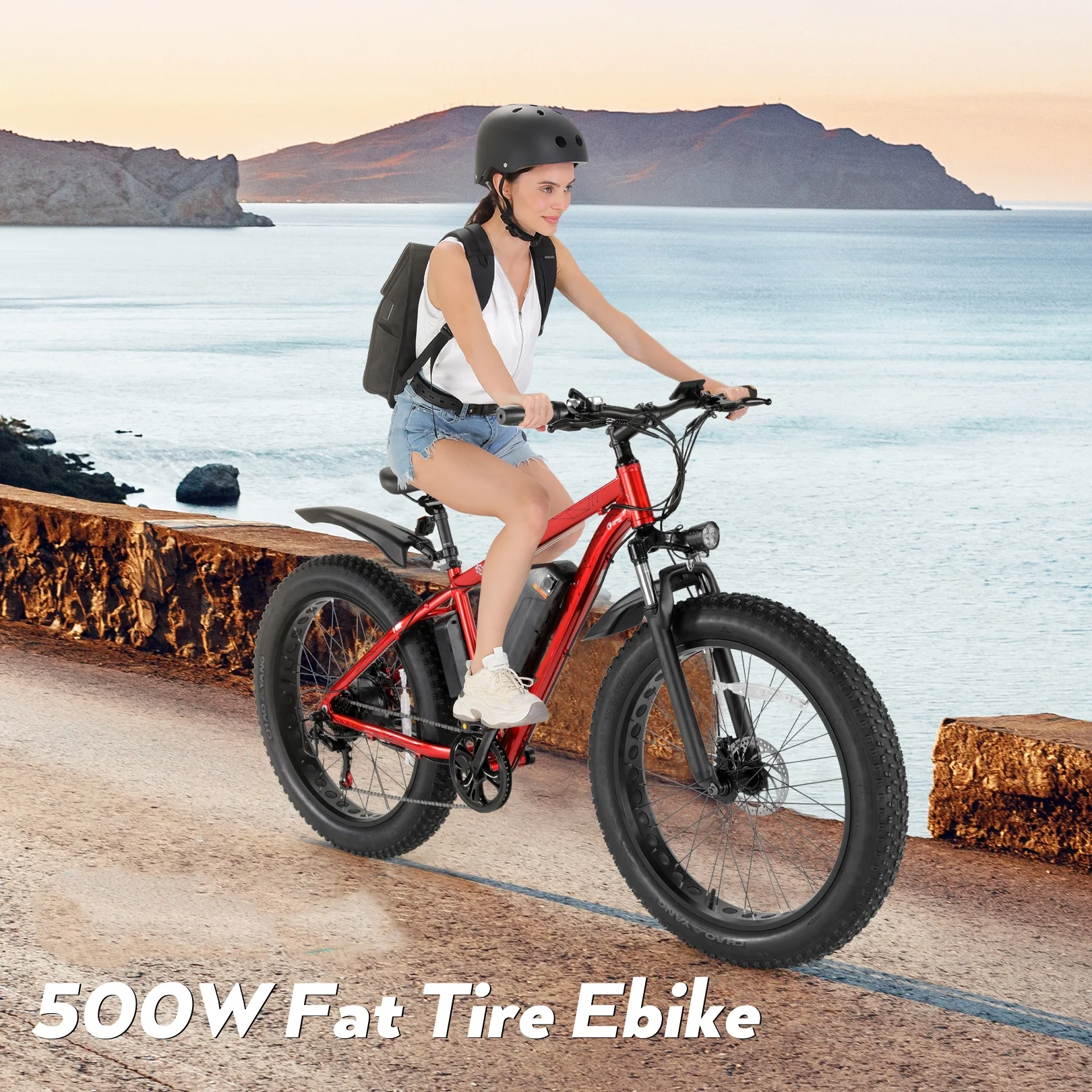 Electric Mountain Bicycle with 500W Motor and 48V Battery