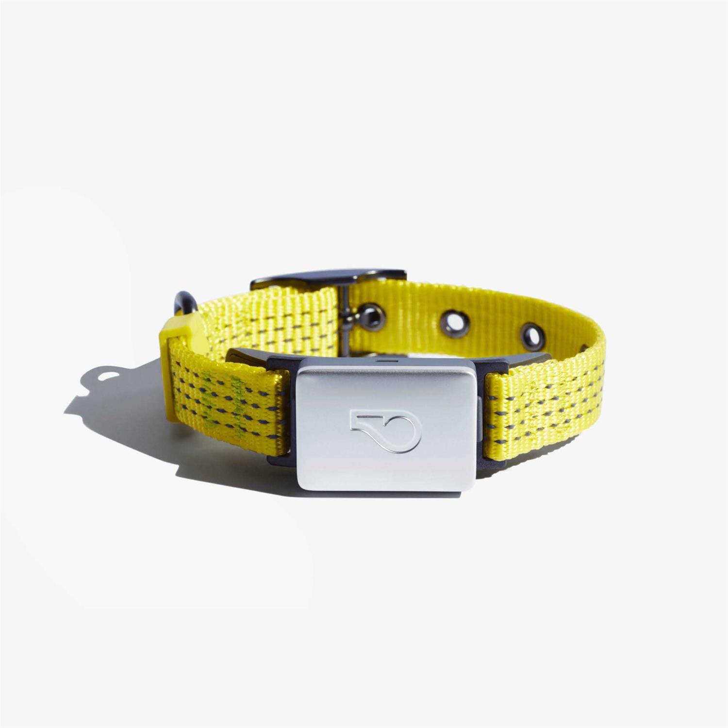 Whistle Switch Smart Collar Kit GPS location Health &amp; Fitness - Pet Supplies online store