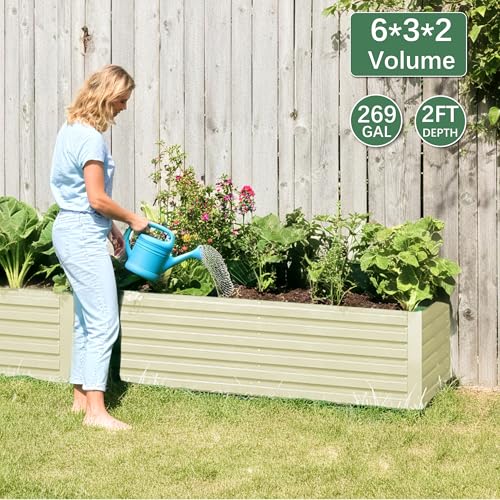 FOOWIN 2pcs 8x4x2ft Galvanized Raised Garden Bed, Planter Raised Garden Boxes Outdoor, Large Metal Raised Beds for Gardening