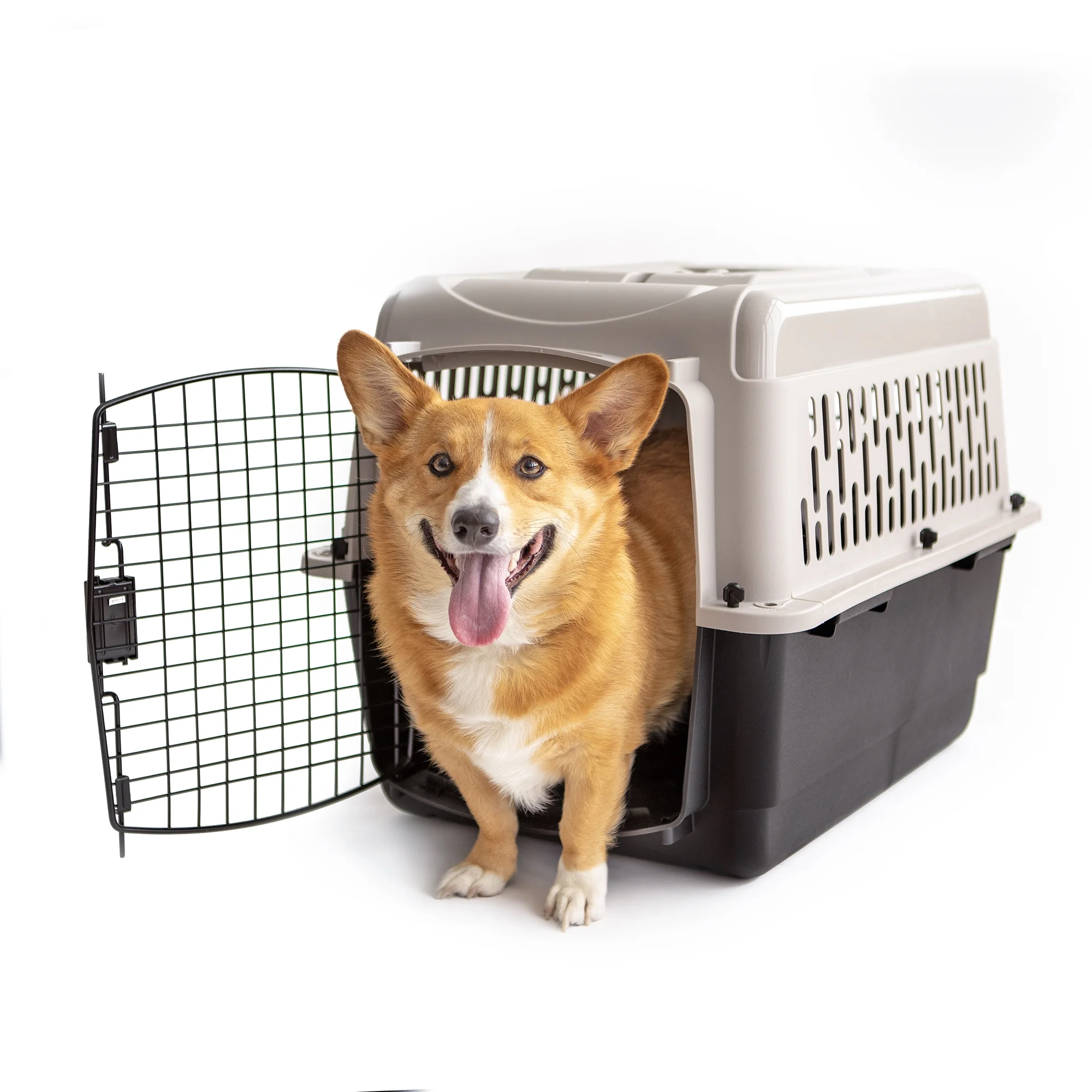 Vibrant Life Pet Kennel 19 X-Small Plastic Dog Crate Portable Carrier for Pets Up To 10 lbs