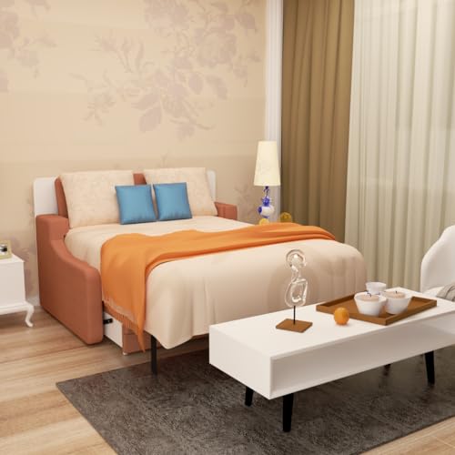 Ball & Cast Queen Size Murphy Bed Hideaway Wall Chest with Top Shelves & USB,Storage Cabinet Bed Frame w/Slat Support