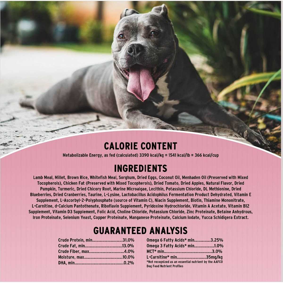 Annamaet Original Sensitive Skin &amp; Stomach Dry Dog Food - Pet Supplies online store