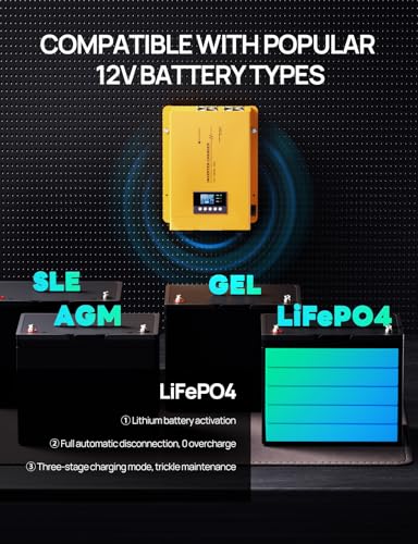 ECO-WORTHY 3000W 12V Pure Sine Wave Inverter Charger,2 in 1 Inverter/Battery Charger,12V DC to 120V AC Converter,25A~100A Adjustable Current Charge