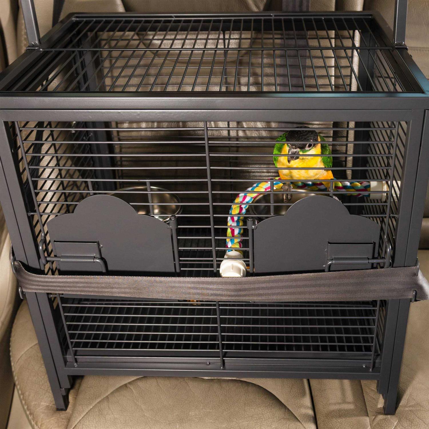 Prevue Pet Products Travel Carrier - Pet Supplies online store