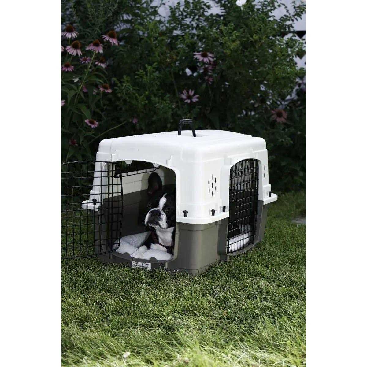 Pet Lodge Double Door Plastic Crate - Pet Supplies online store