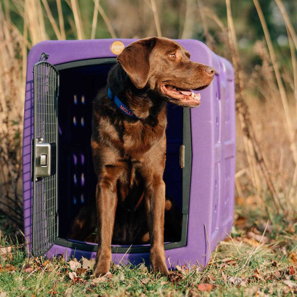 Dakota 283 G3 Framed Door Kennel