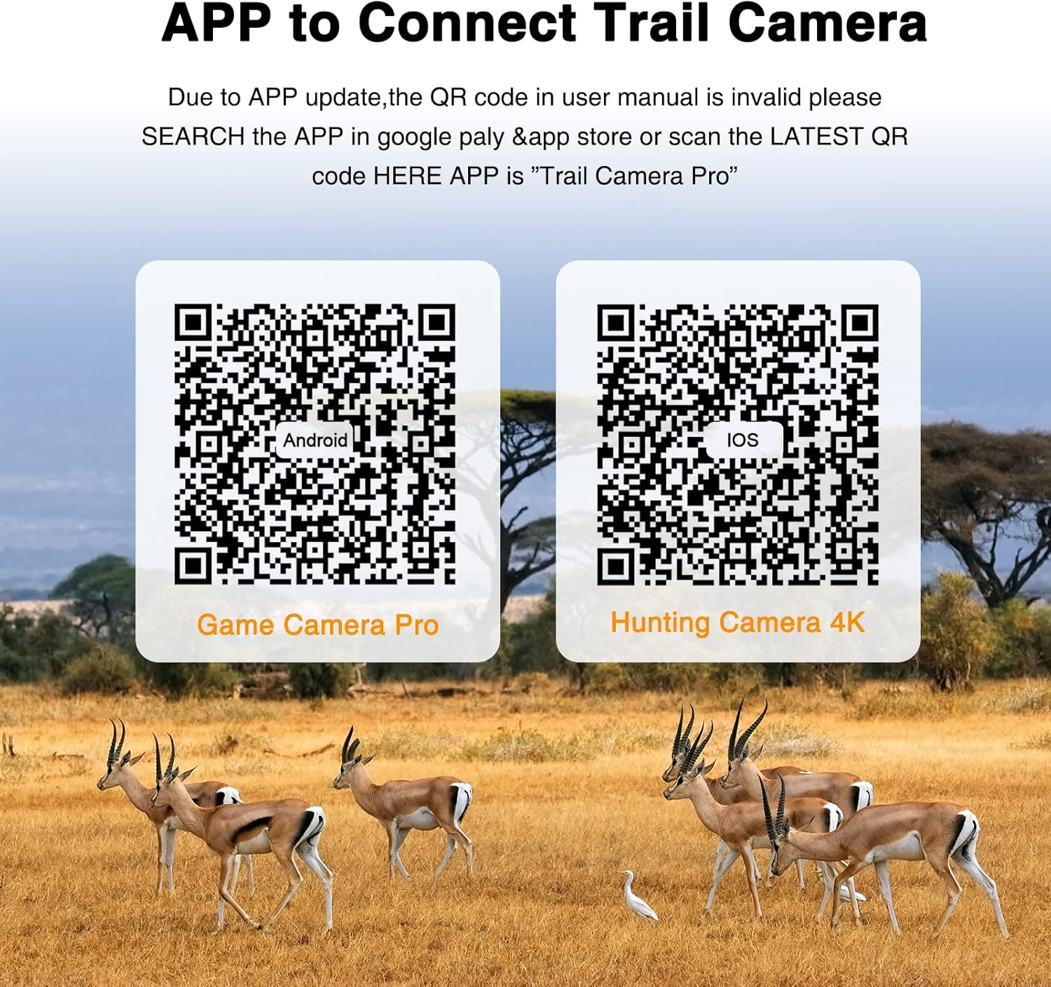 WiFi Bluetooth Trail Camera, 20MP 1296P 2.4” LCD Game Camera，Clear 100ft No Glow Infrared Night Vision