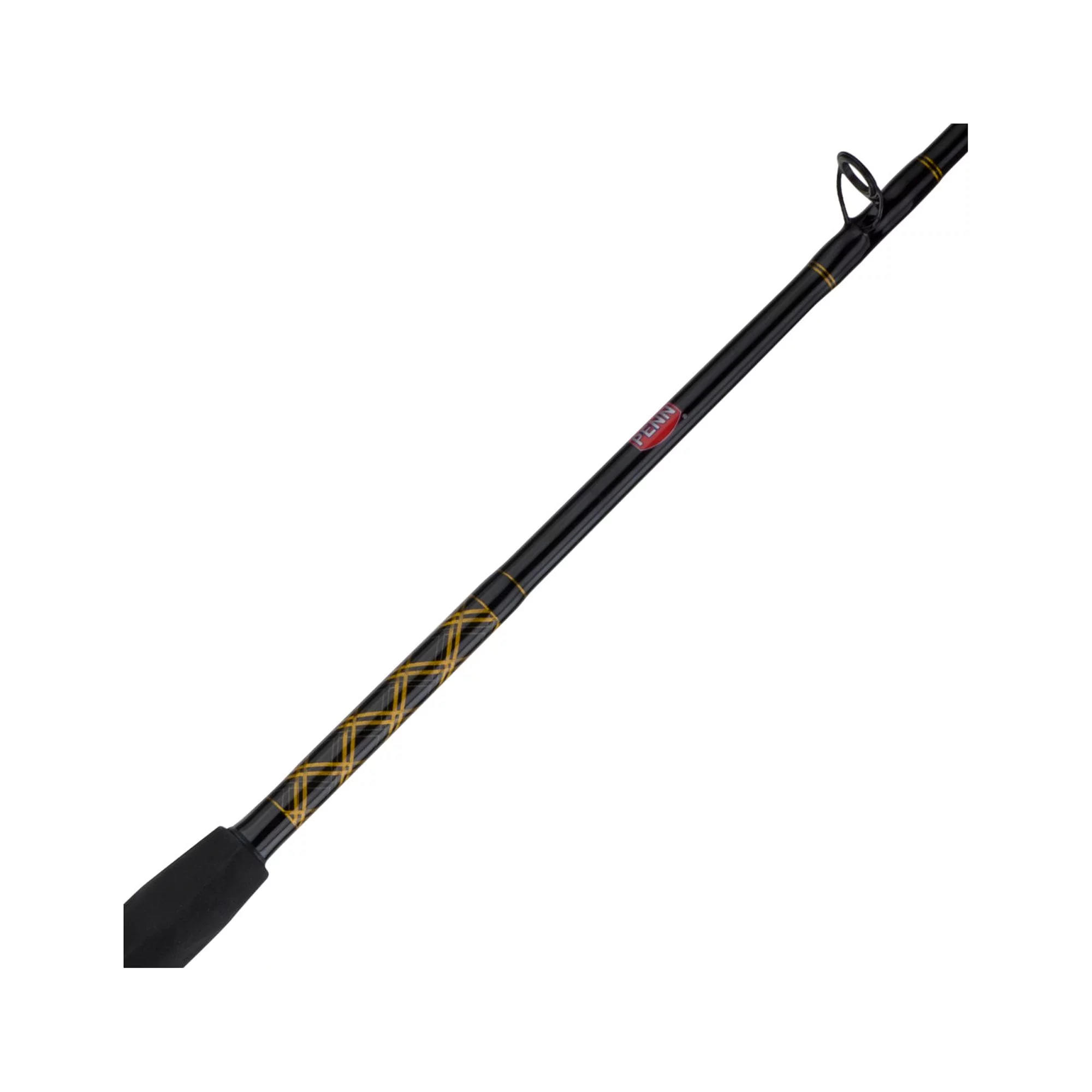 Penn Squall Level Wind Conventional Reel and Fishing Rod Combo