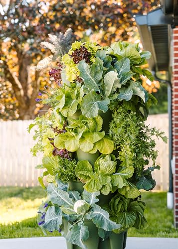 Greenstalk Patented Large 5 Tier Vertical Garden Planter with Patented Internal Watering System Great for Growing a Variety of Strawberries