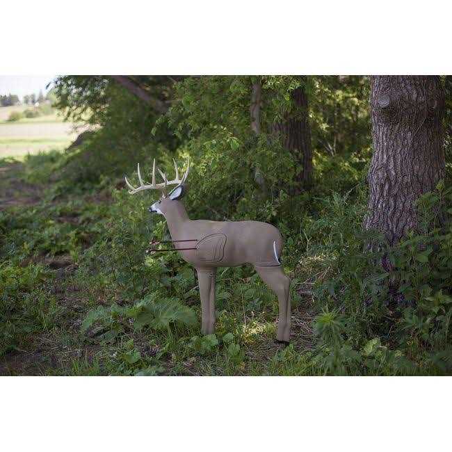 Shooter 3D Buck Archery Target - Sports Supplies Online Store
