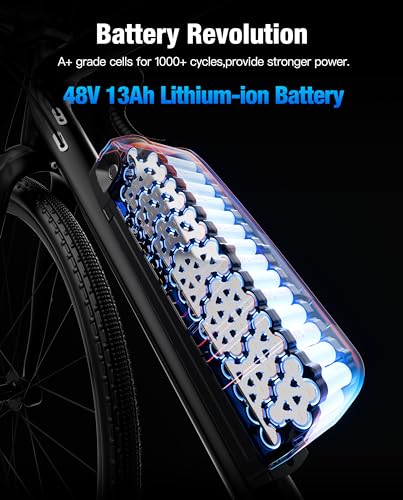 Ebike Battery 48V 20Ah for Electric Bike/Bicycle Power Supply Hailong Li-ion Battery Pack with Fix Plate, Safe Lock, 3A Charger