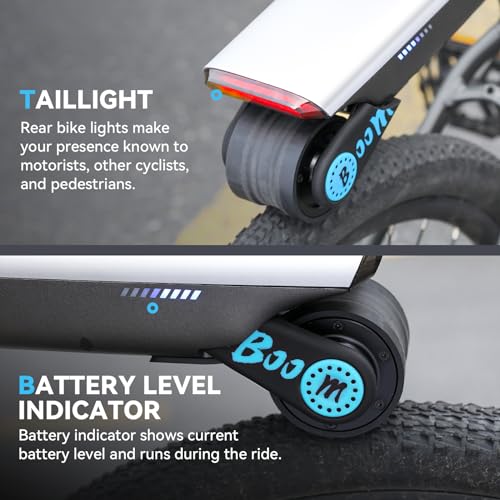 BAOSHISHAN Pedal Assist, Up to 31 Miles Range, 15.5Mph, Electric Bike Conversion Kit for Mountain Bike and Road Bike