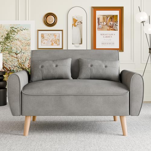 Vongrasig 47" Small Modern Loveseat Sofa