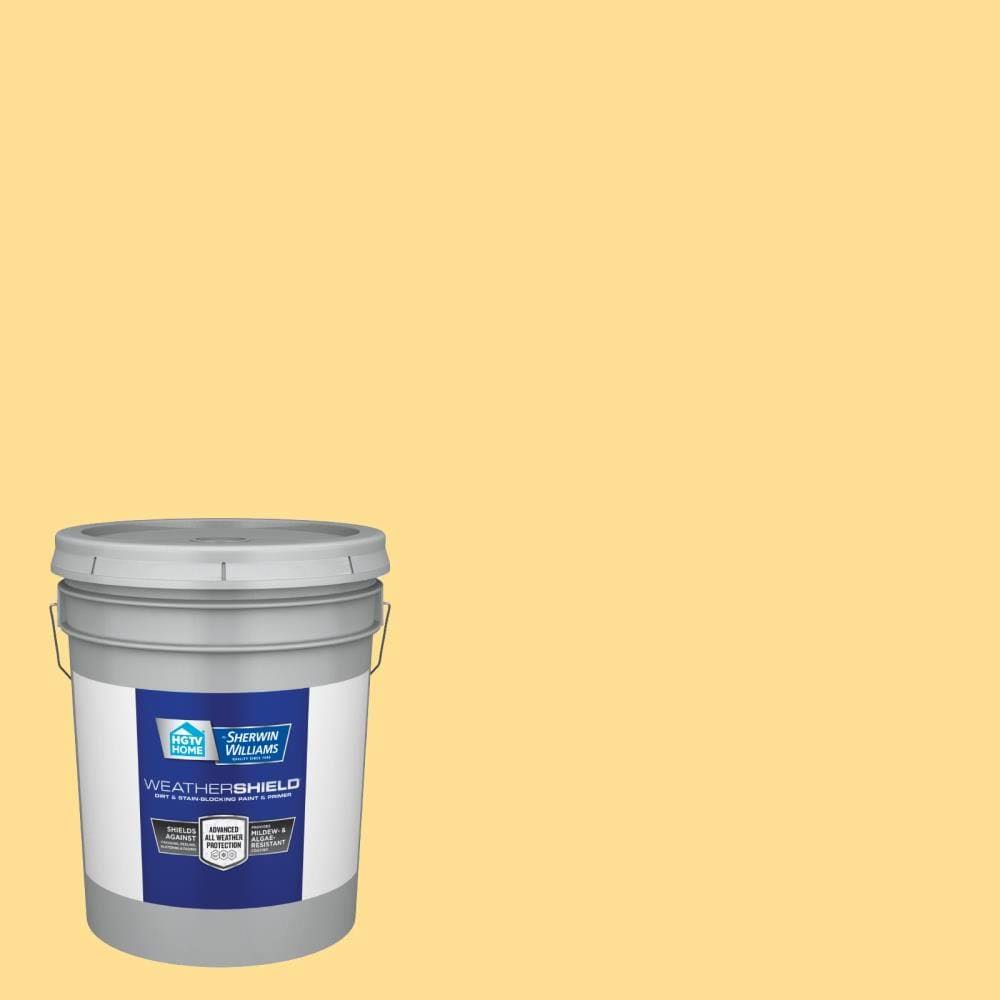 Hgtv Home by Sherwin-Williams WeatherShield Satin Outrigger Hgsw1175 Exterior Paint (5-Gallon) | HGSW1175-636322