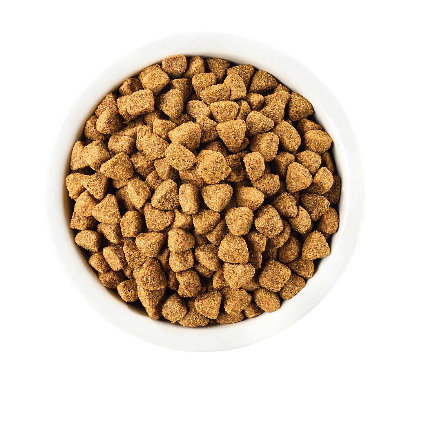 Wellness Complete Health Whitefish &amp; Sweet Potato Dry Dog Food - Pet Supplies online store