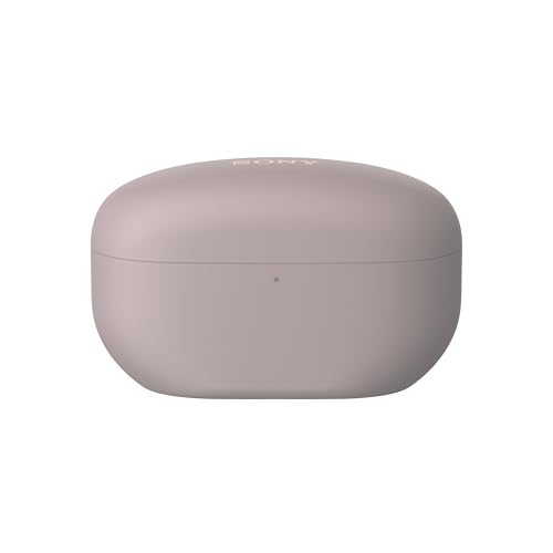 Sony WF-1000XM5 The Best Truly Wireless Bluetooth Noise Canceling Earbuds & in-Ear Headphones with Alexa Built-in, Black