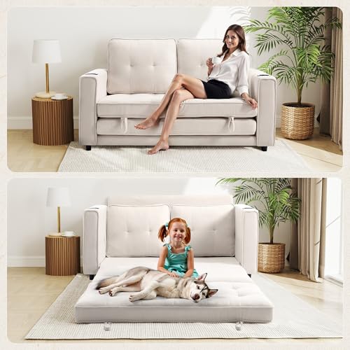 Loveseat Sleeper Sofa Bed for Living Room - Modern Comfy Convertible Futon Couches- Folding Couch Bed for Small Spaces