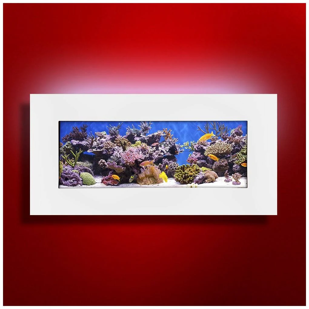 Aussie Aquariums 2.0 Wall Mounted Aquarium - Skyline (Matte White)