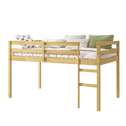 Low Loft Bed Twin Size, Kids Solid Wood Modern Loft Bed Frame with Ladder and Safety Guardrail for Girls Boys, Noise-Free,Non-Toxic Finishes